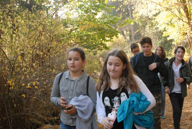 Őszi bakancsos a Mecsekben
