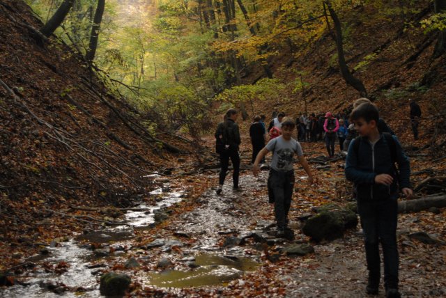 Őszi bakancsos a Mecsekben
