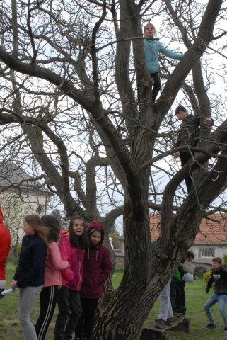 Zempléni vártúra a bakancsossal