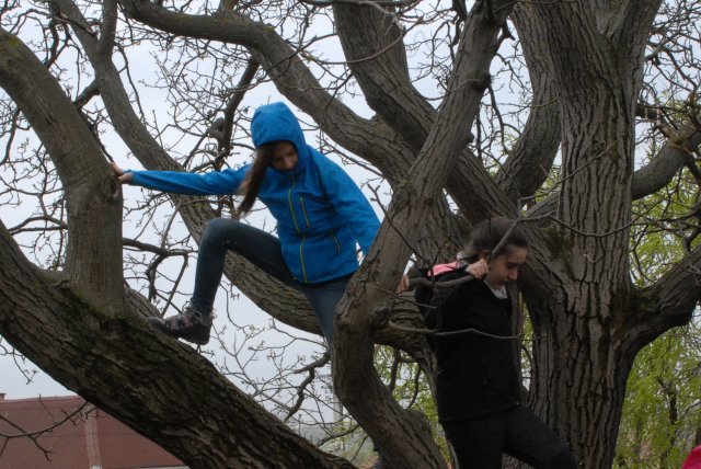 Zempléni vártúra a bakancsossal