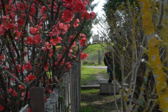 Zempléni vártúra a bakancsossal