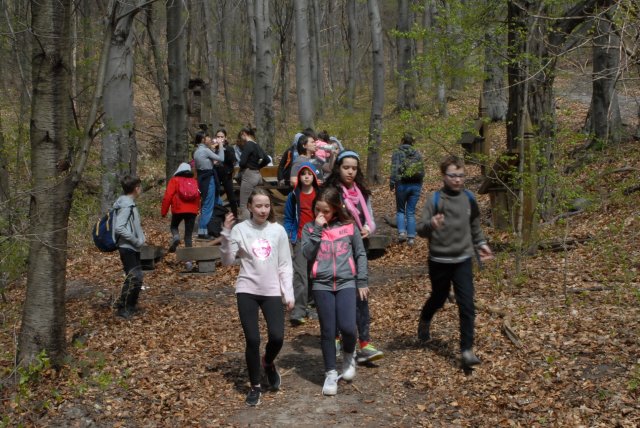 Zempléni vártúra a bakancsossal
