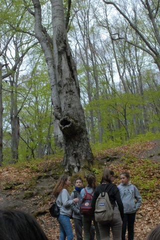 Zempléni vártúra a bakancsossal